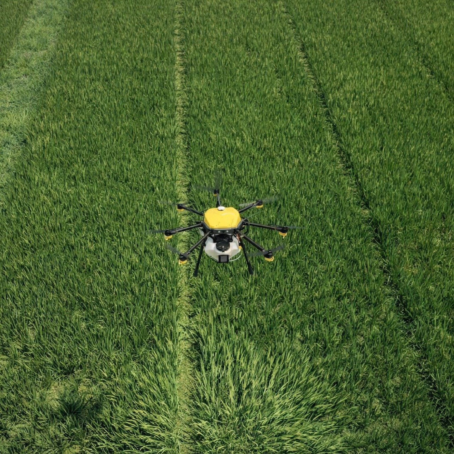 WhatsApp Image 2026-01-28 at 11.55.50 AM